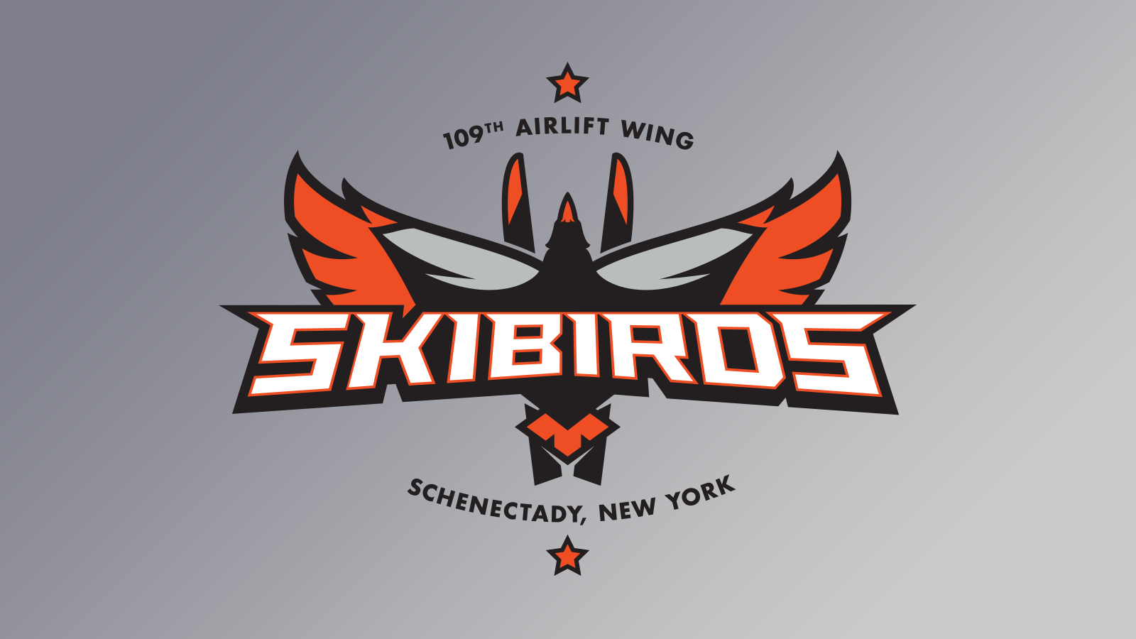 Air National Guard | Skibirds Logo