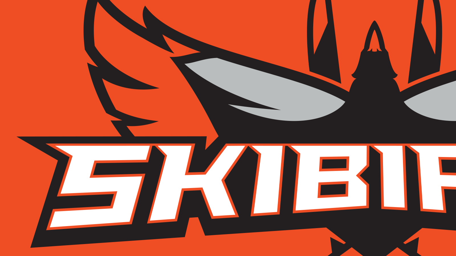Air National Guard | Skibirds Logo Detail