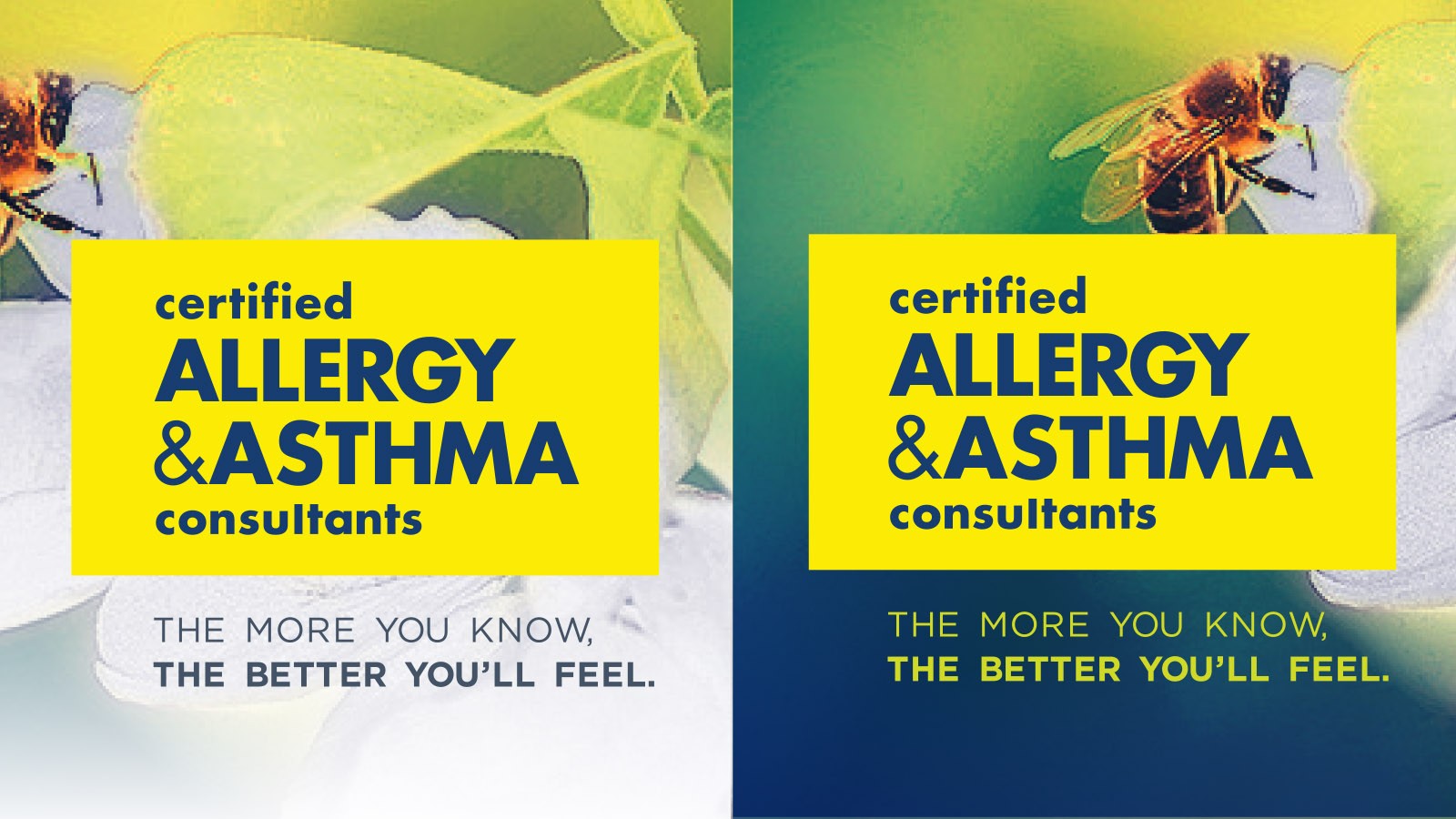 Certified Allergy & Asthma Consultants | Logo Treatments 2