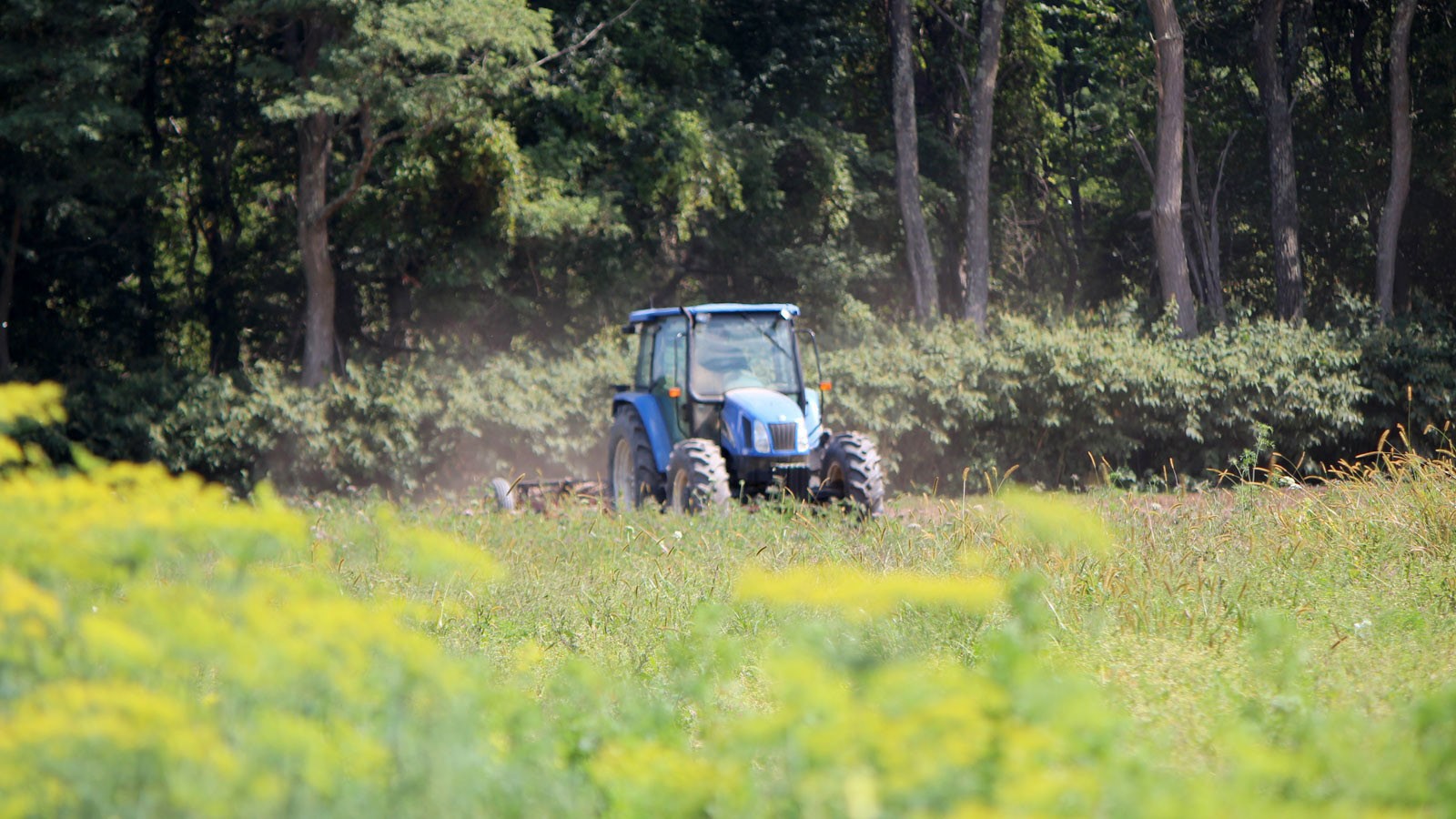 Stoneledge Farm | At work