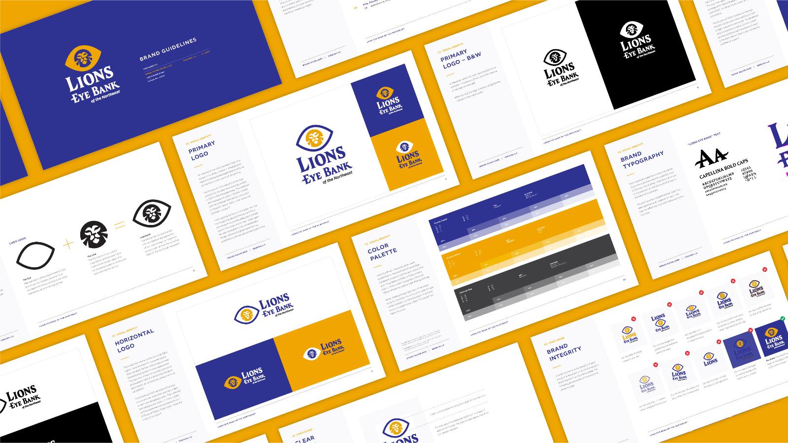 Lions Eye Bank of the Northeast | Brand Guidelines